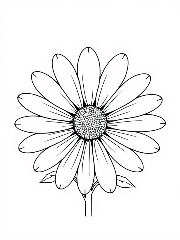 chamomile flower coloring page