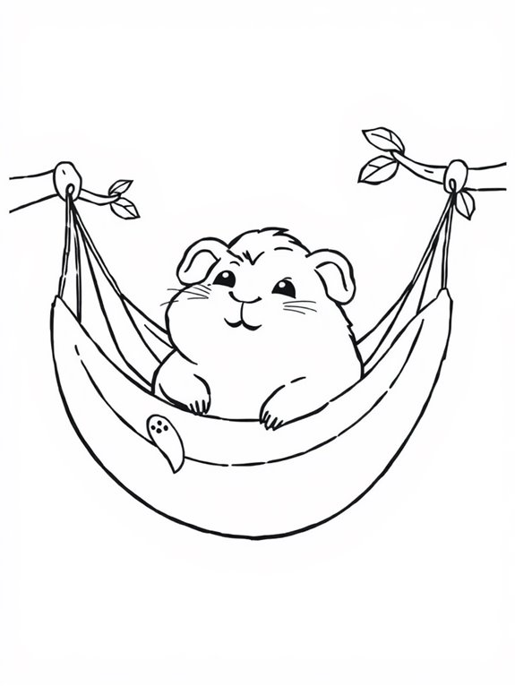 guinea pig relaxing hammock