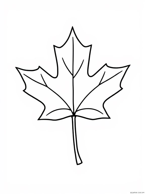 maple leaf coloring page