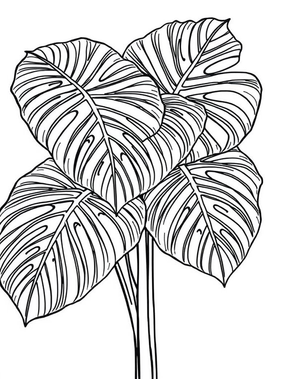 monstera leaf coloring page