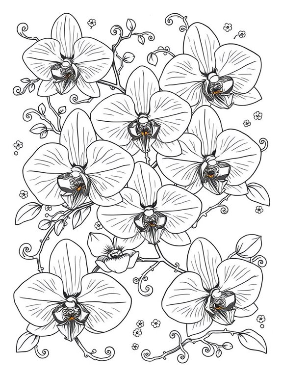 orchid themed coloring page