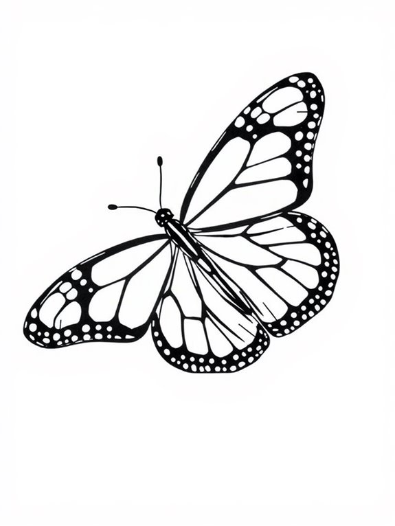 realistic monarch butterfly illustration