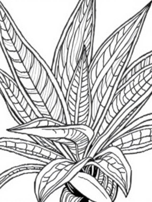 realistic snake plant illustration