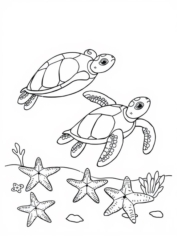 sea turtles and starfish