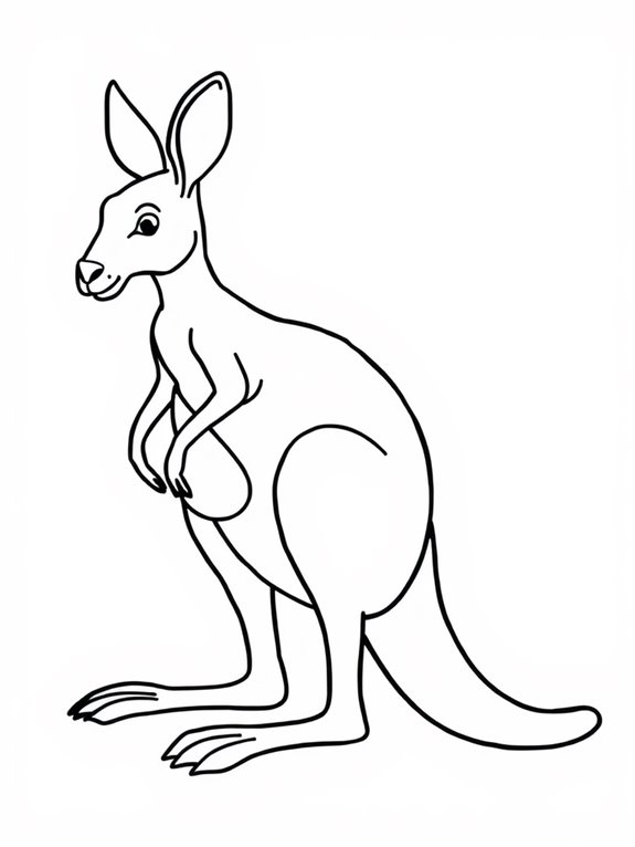 simple outline kangaroo illustration