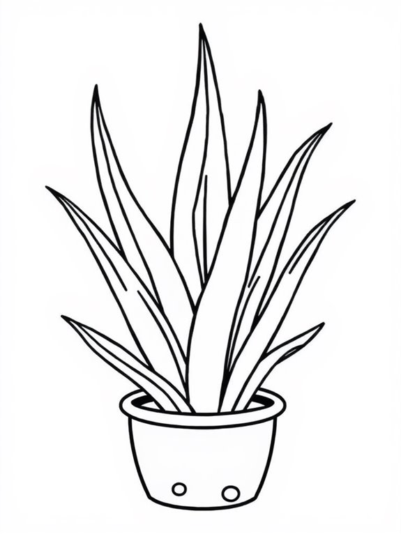 simple snake plant illustration