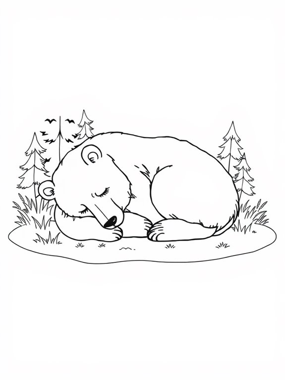 sleeping bear coloring page