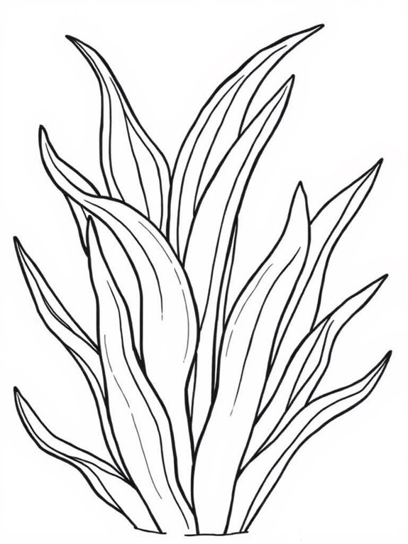 snake plant coloring page